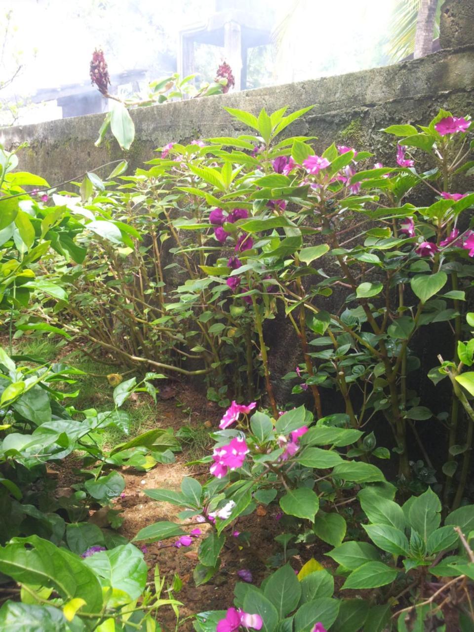 Ami Place Rooms With Kitchen Hikkaduwa Esterno foto